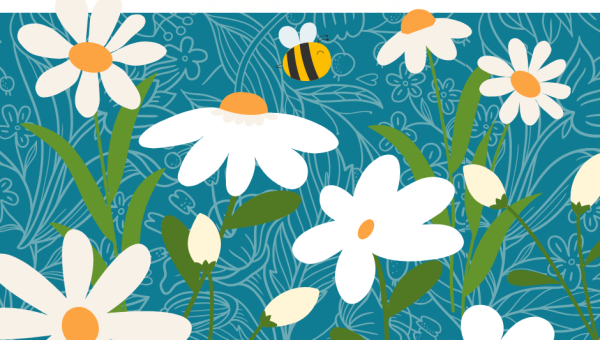 Concours maisons et balcons fleuris